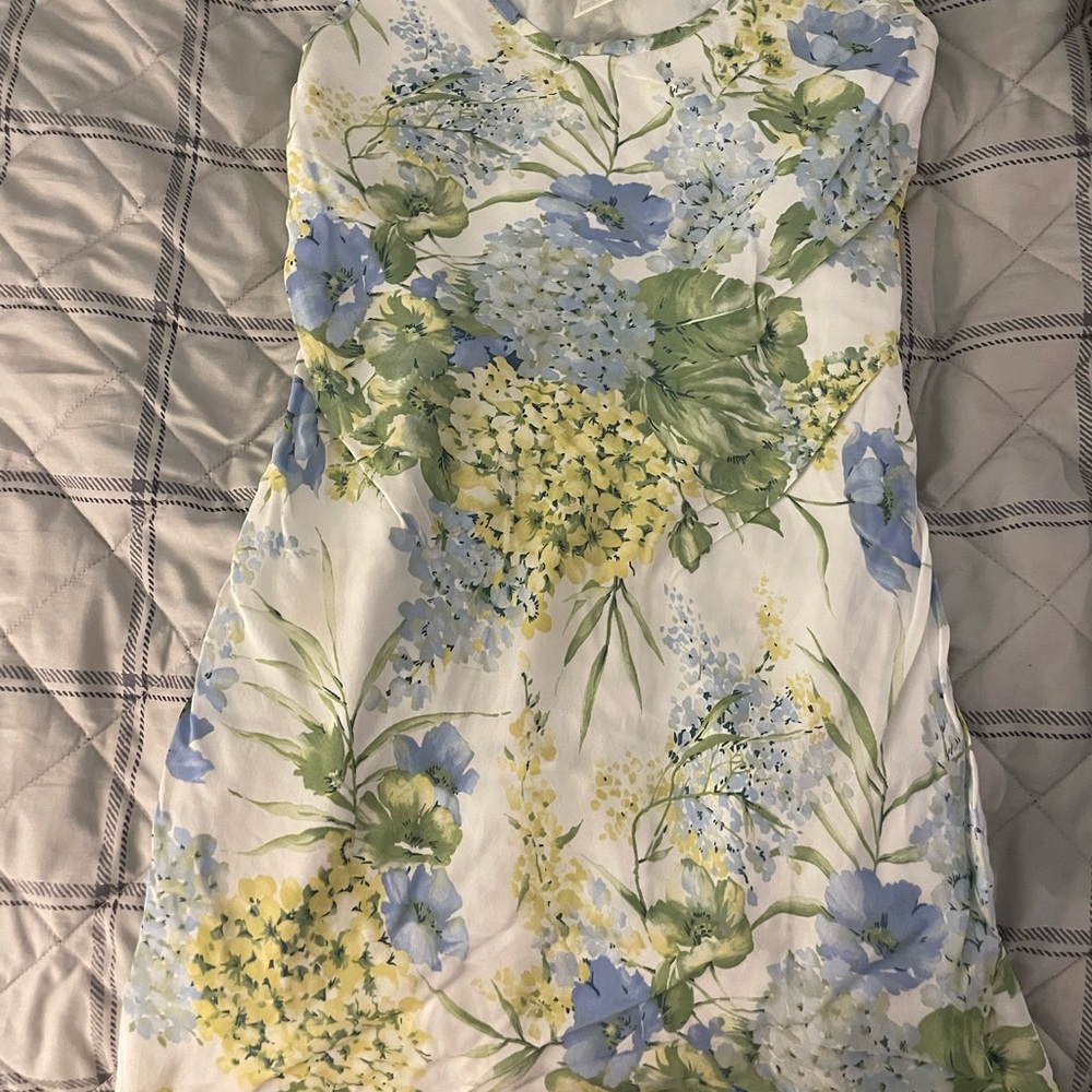 Express vintage floral dress